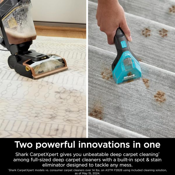Upright Carpet Cleaner Machine, CarpetXpert HairPro, EX301