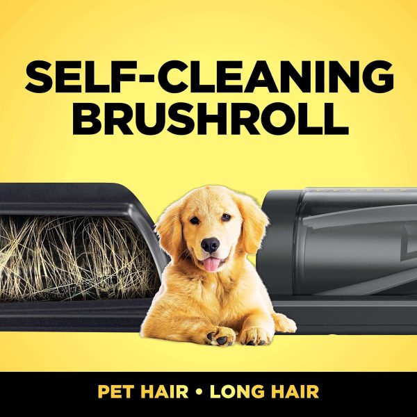 IZ363HT Anti-Allergen Pet Power Cordless Stick Vacuum Self-Cleaning Brushroll, PowerFins, 50min Runtime, Blue