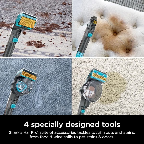 Upright Carpet Cleaner Machine, CarpetXpert HairPro, EX301