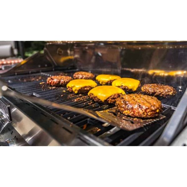 Grills 4   Burner Built In Liquid Propane 60000 BTU Gas Grill with Side Burner and Cabinet