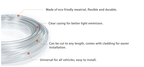 Premium Interior Ambient Lighting Kit
